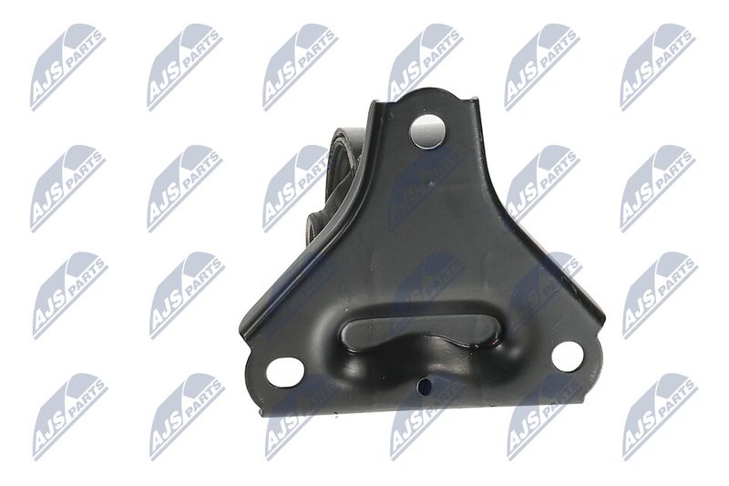 Paigutus, Mootor, NTY ZPS-KA-300