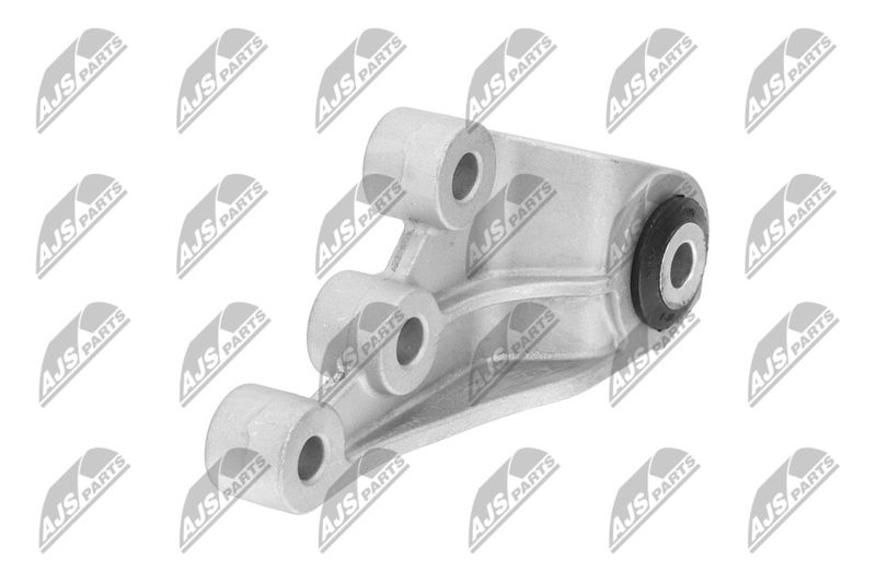 Paigutus, Mootor, NTY ZPS-CH-123