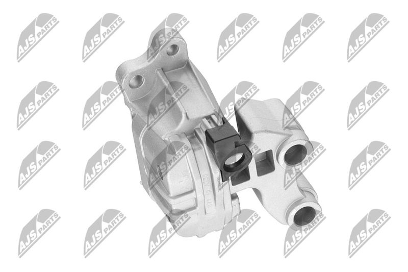 Paigutus, Mootor, NTY ZPS-CH-127