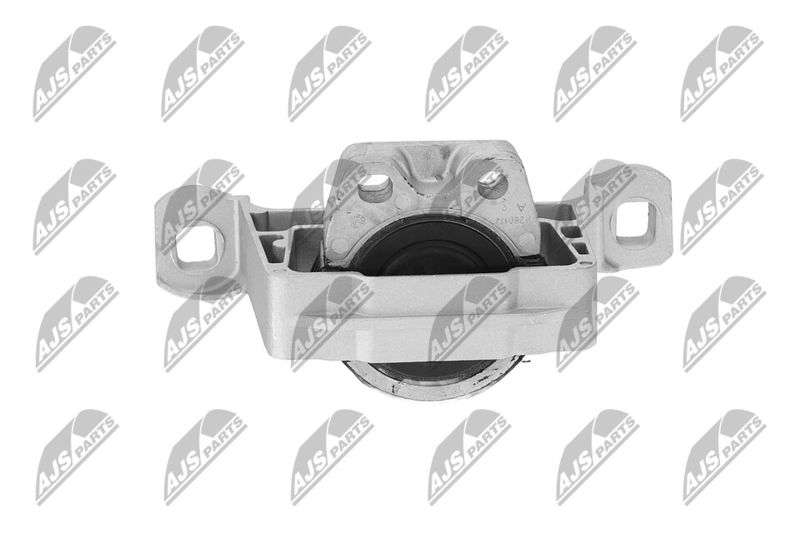 Paigutus, Mootor, NTY ZPS-FR-045