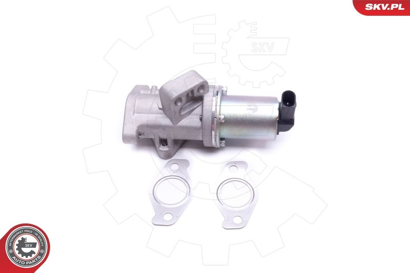 ESEN SKV 14SKV212 EGR Valve