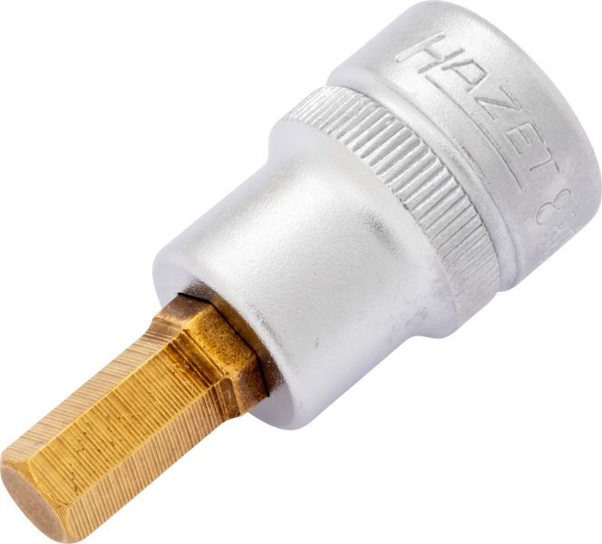 480808371.JPG
