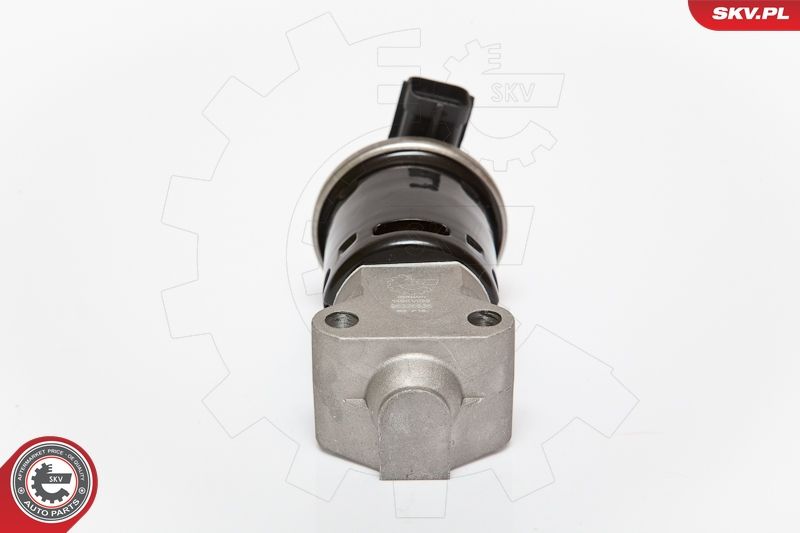 ESEN SKV 14SKV059 EGR Valve