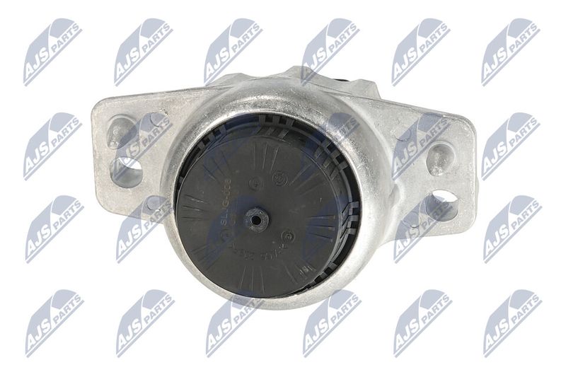 Paigutus, Mootor, NTY ZPS-JG-006