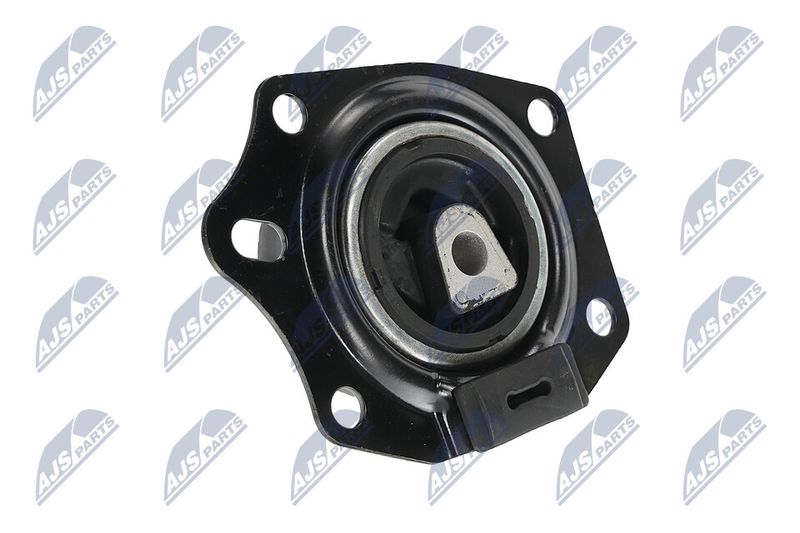 Paigutus, Mootor, NTY ZPS-CH-014