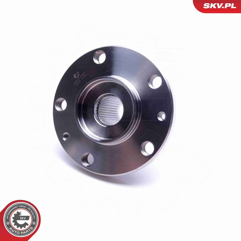 ESEN SKV 29SKV451 Rato guolio komplektas