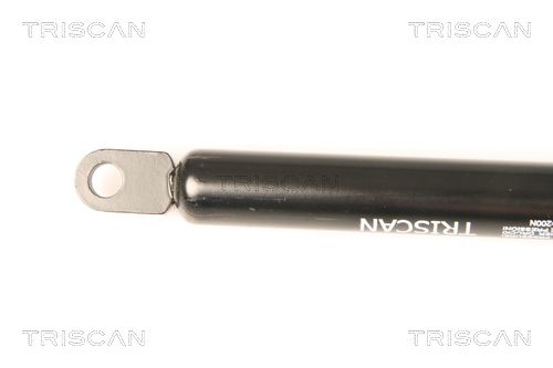 TRIS87109004_2.JPG