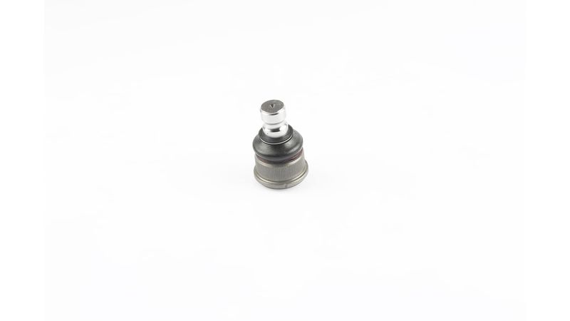 SKF VKDS 316006 Šarnyras / girgždukas