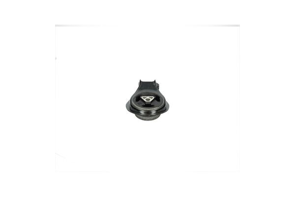 Kavo Parts Variklio montavimas