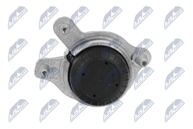 Paigutus, Mootor, NTY ZPS-ME-018