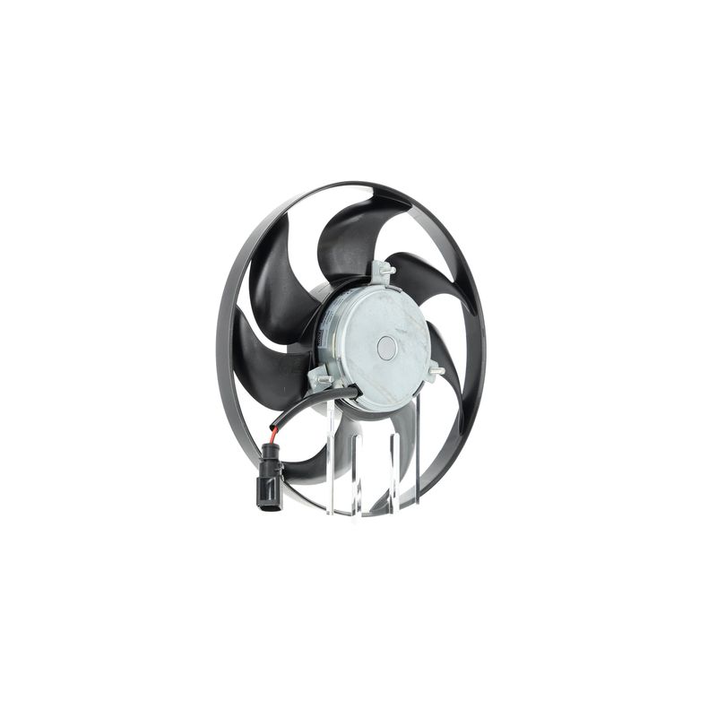 Image 21