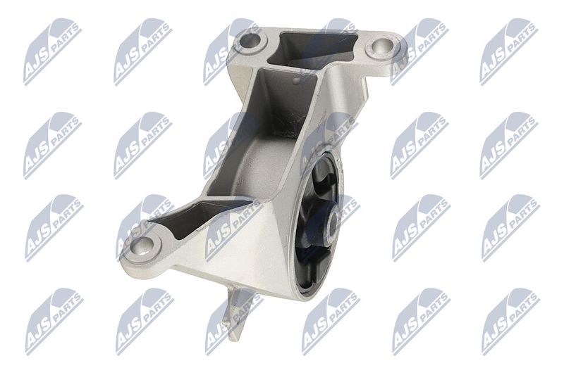 Paigutus, Mootor, NTY ZPS-PL-039