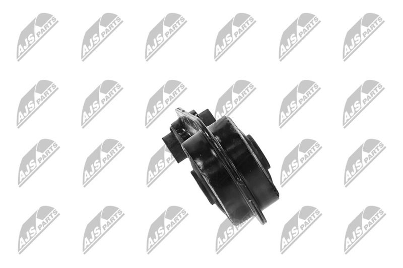 Paigutus, Mootor, NTY ZPS-NS-075