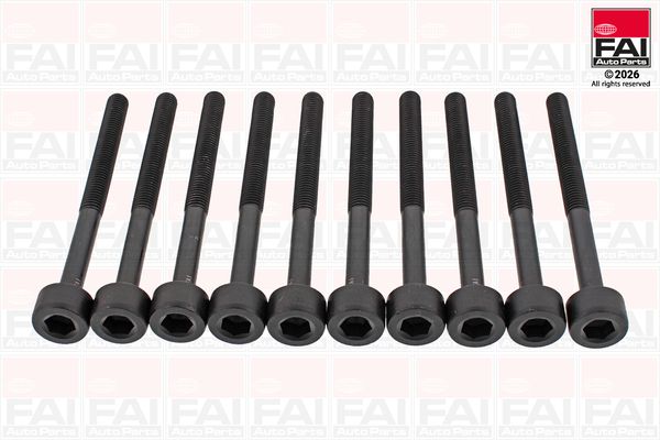 FAI AutoParts Varžtų kompl., cil. galvutės varžtai