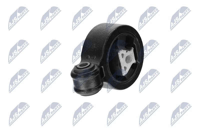 Paigutus, Mootor, NTY ZPS-CH-117