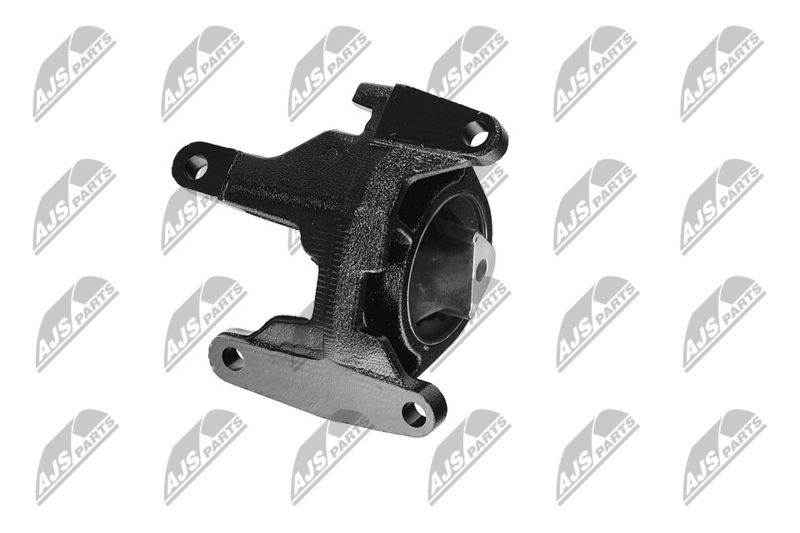 Paigutus, Mootor, NTY ZPS-CH-087