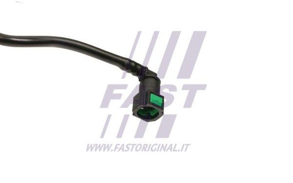 FT61884_3_1.JPG