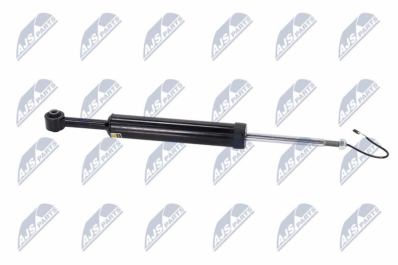 Amort, NTY A-MA-002