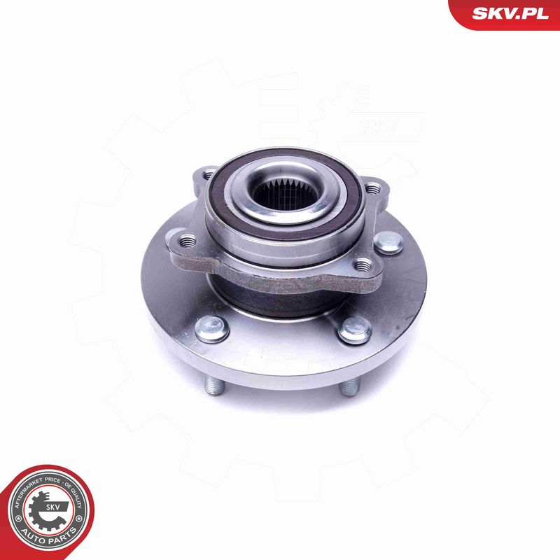 ESEN SKV 29SKV393 Wheel Bearing Kit