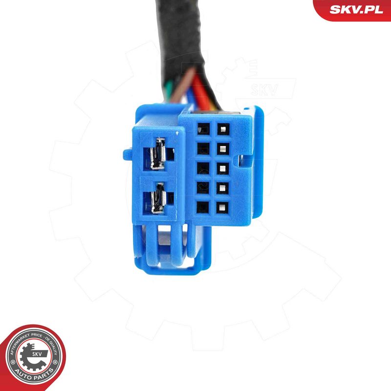 ESEN SKV 52SKV984 Electric Motor, tailgate