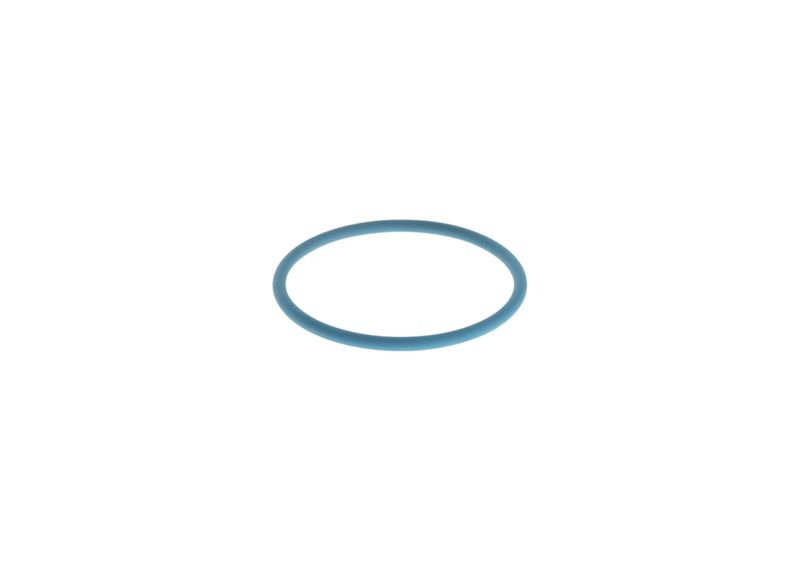 BOSCH F 00H N35 737 Rubber Ring