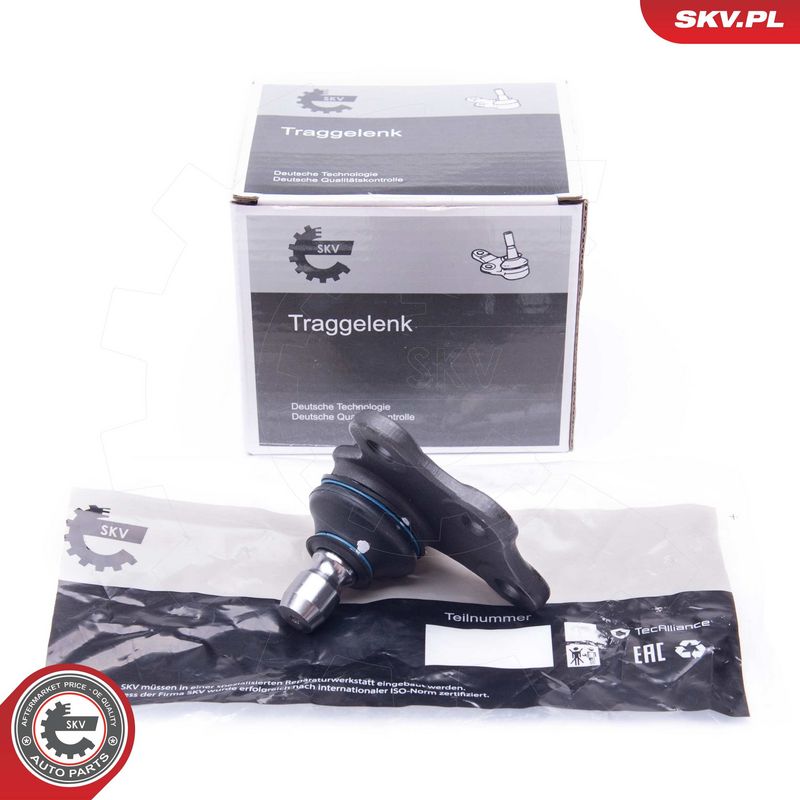 Kande-, juhtliigend, ESEN...