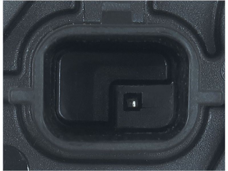 416915.JPG