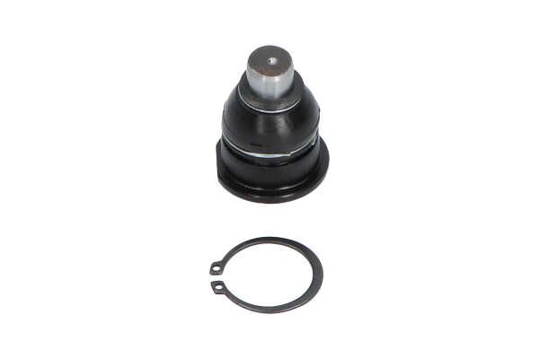 Kavo Parts SBJ-10011 Šarnyras