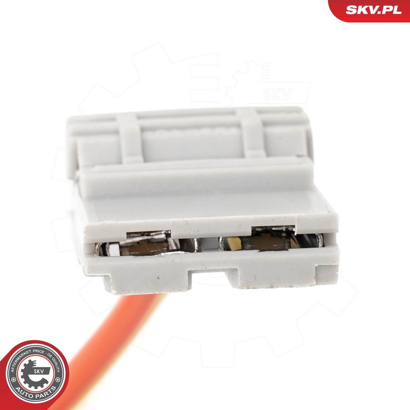 Roolilukk, ESEN SKV 65SKV206