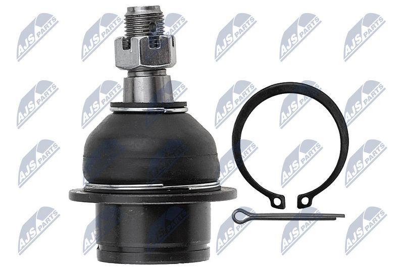 Kande-, juhtliigend, NTY ZSD-FR-006