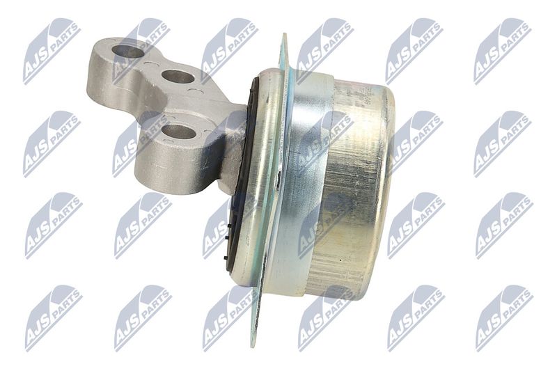 Paigutus, Mootor, NTY ZPS-PL-049
