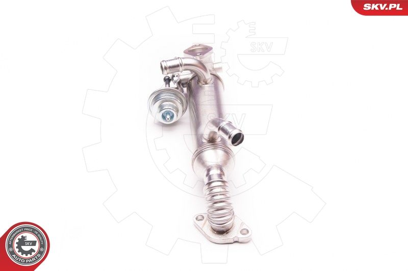 ESEN SKV 14SKV119 EGR Valve