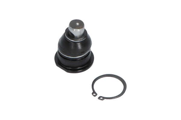 Kavo Parts SBJ-10011 Šarnyras