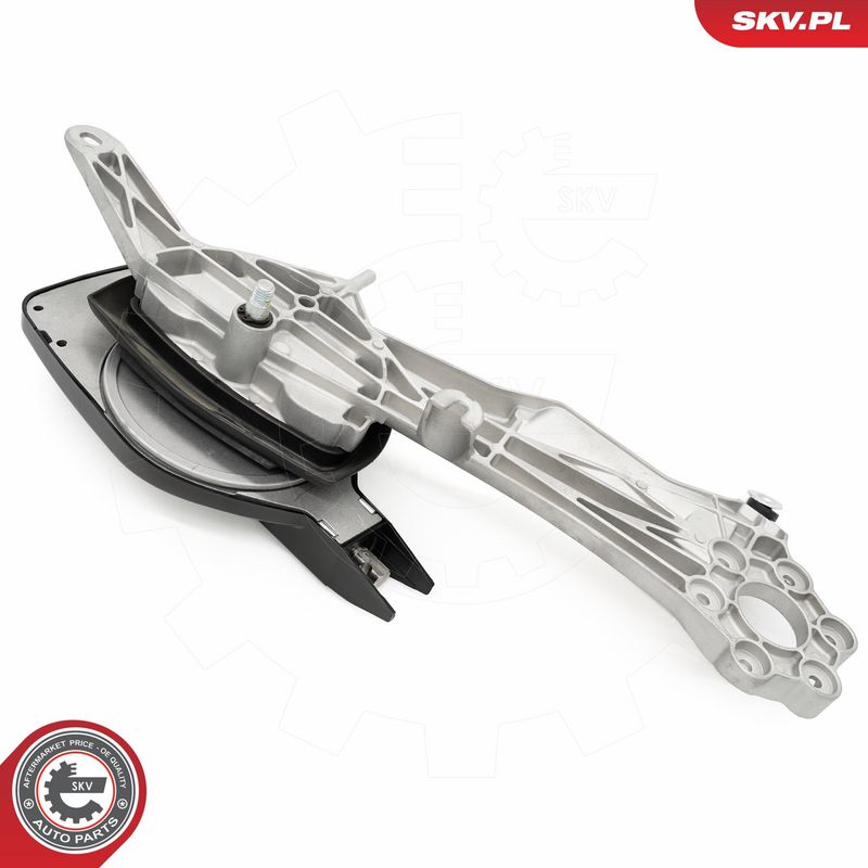 Pesurihoovastik, ESEN SKV 05SKV161