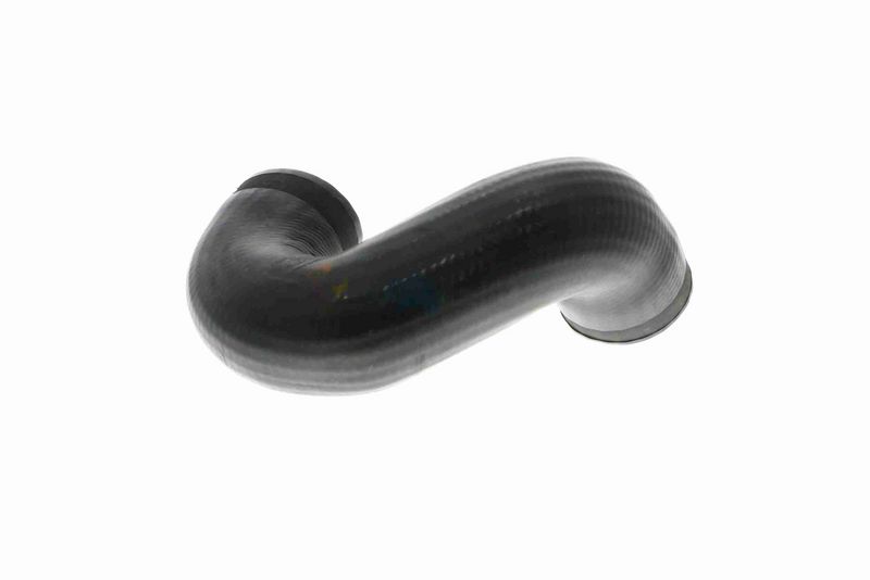 VAICO V10-3813 Charge Air Hose