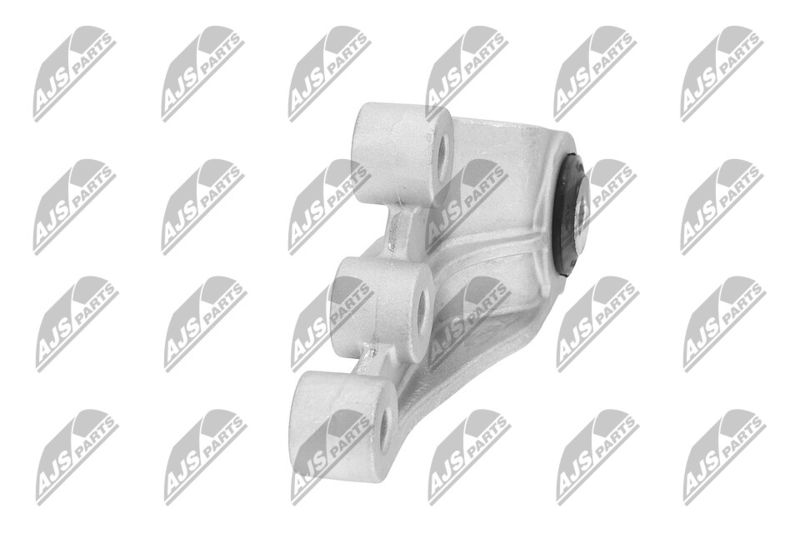 Paigutus, Mootor, NTY ZPS-CH-123