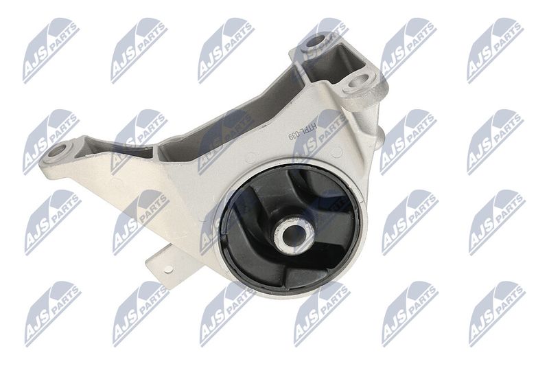 Paigutus, Mootor, NTY ZPS-PL-039