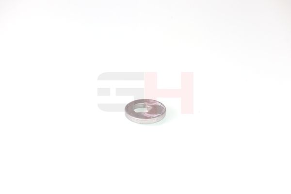 caster shim, sillatala, GH GH-391582