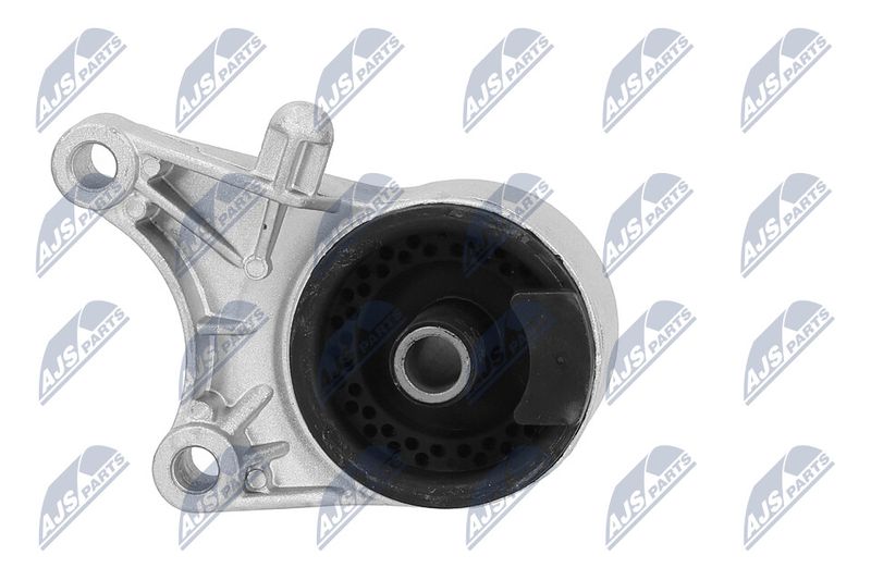 Paigutus, Mootor, NTY ZPS-PL-036
