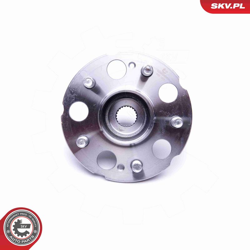 ESEN SKV 29SKV311 Wheel Bearing Kit