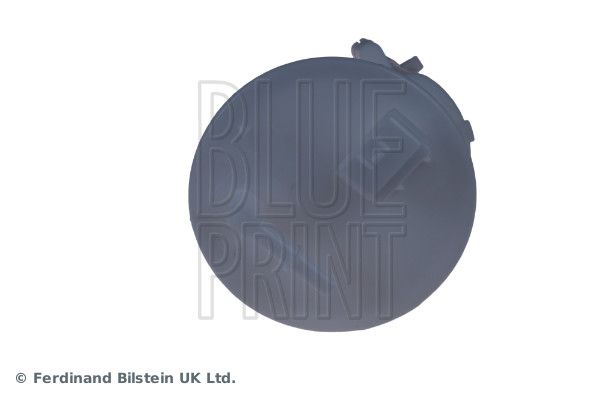 BLUE PRINT ADN12348 Fuel Filter