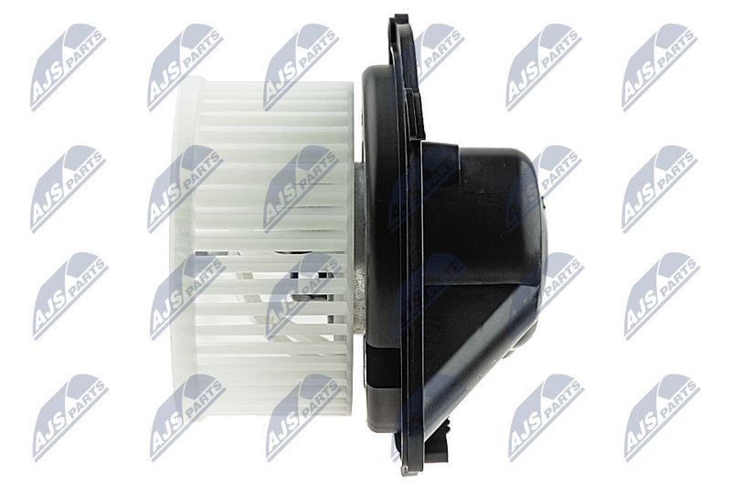 Salongipuhur, NTY EWN-WW-004