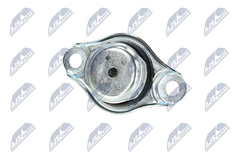 Paigutus, Mootor, NTY ZPS-FT-005