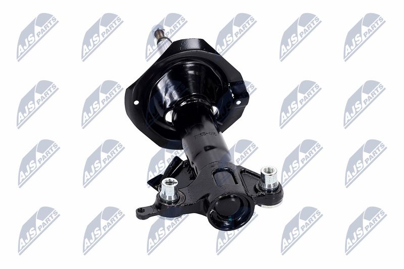 Amort, NTY A-NS-015