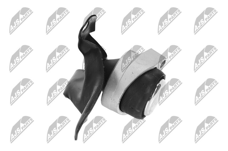 Paigutus, Mootor, NTY ZPS-FR-011