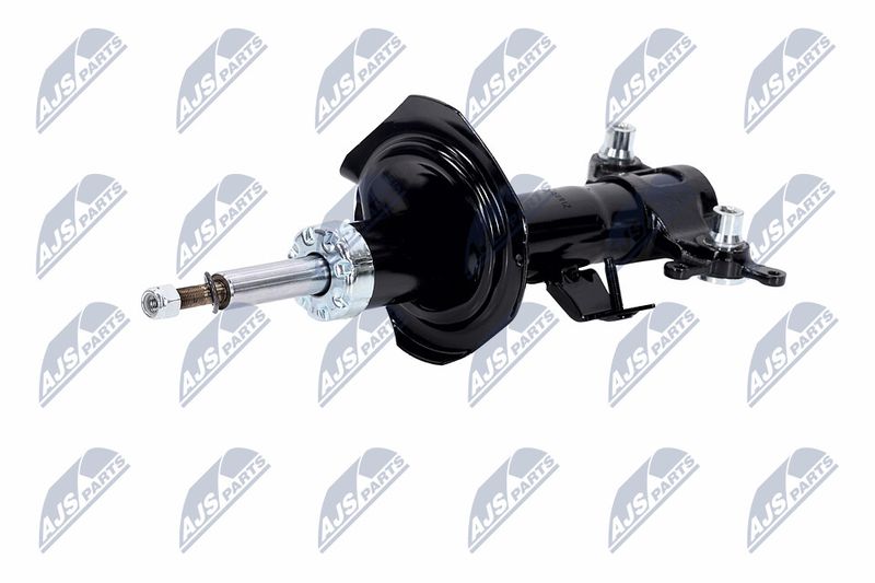 Amort, NTY A-NS-015