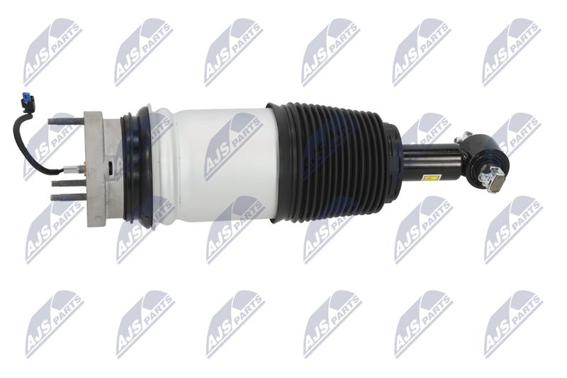 Amort, NTY A-CH-098