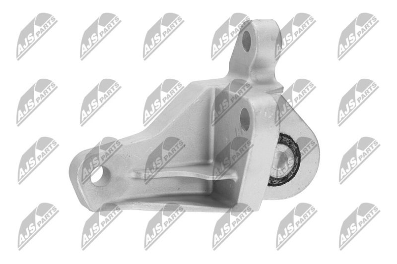 Paigutus, Mootor, NTY ZPS-FR-066