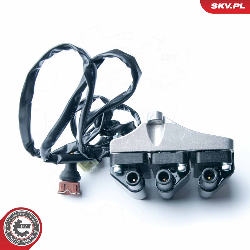 Süütepool, ESEN SKV 03SKV217