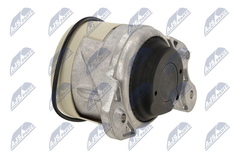 Paigutus, Mootor, NTY ZPS-ME-021